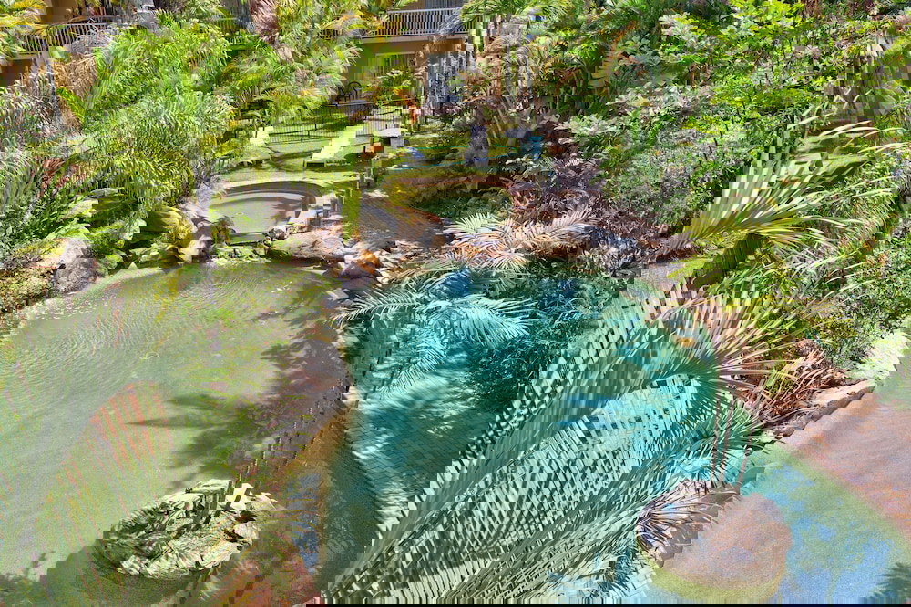 North Cairns QLD Tourism Noosa