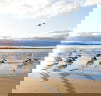 El Paso Motor Inn - Tourism Noosa