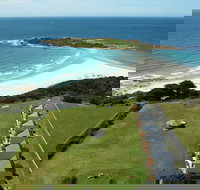 Diamond Island Resort  Bicheno Penguin Show - Tourism Noosa