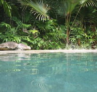Daintree Rainforest Retreat - Tourism Noosa