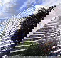 BreakFree Capital Tower - Tourism Noosa