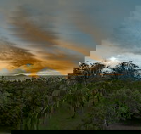 Ocean International - Tourism Noosa