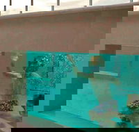 Novotel Brisbane Airport - Tourism Noosa