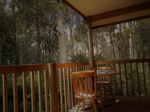 Cradle Forest Inn - Tourism Noosa 6