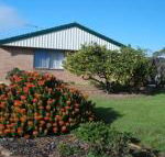 Lemontree Cottage - Tourism Noosa