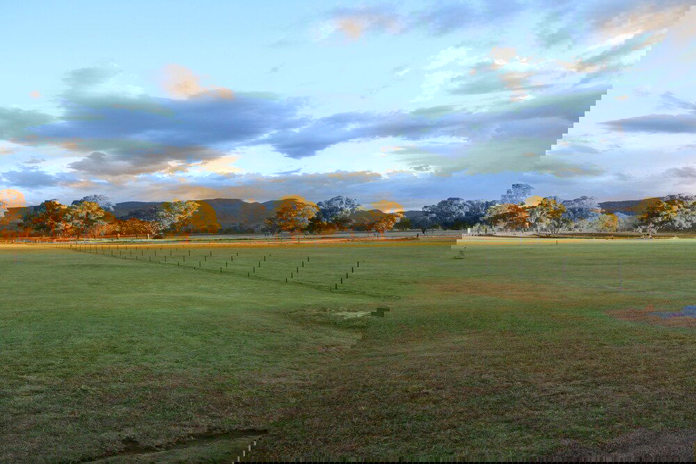 Lyra QLD Tourism Noosa