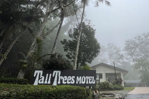 Tall Trees Motel - Tourism Noosa 4