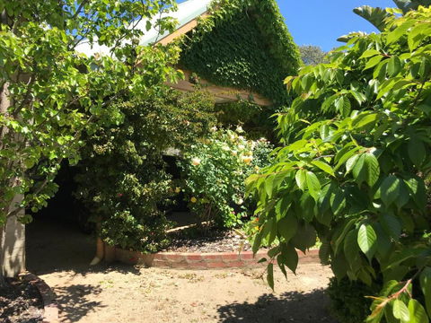 The Fingal Farm - Tourism Noosa 1