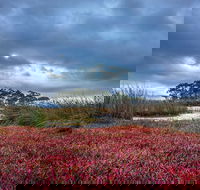 Saintys Creek Cottage - Tourism Noosa