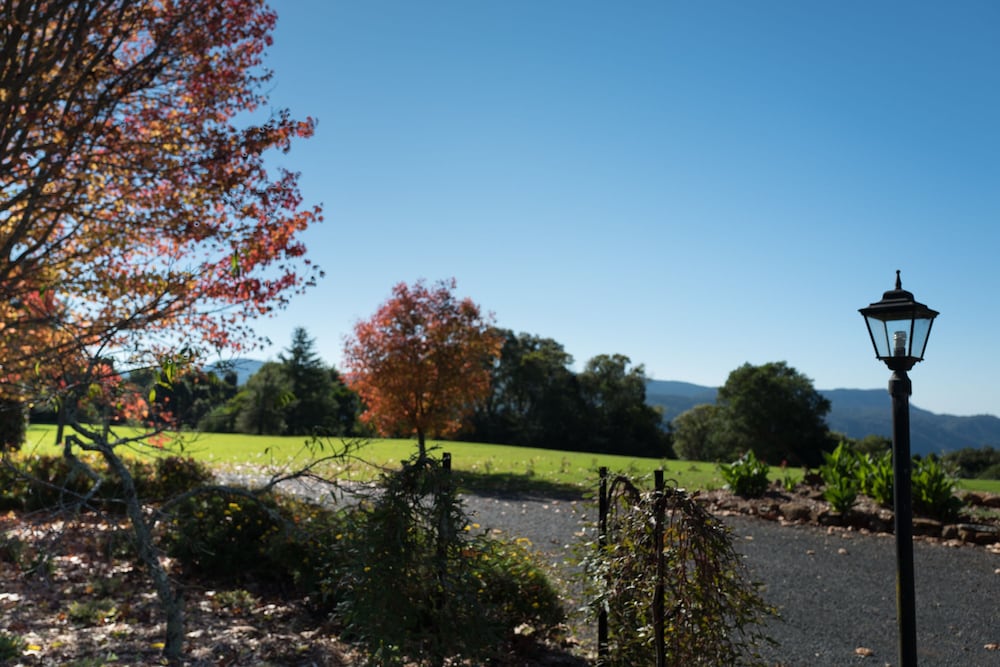 North Dorrigo NSW Tourism Noosa