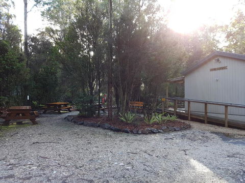 Tahune Air Walk Lodge - Tourism Noosa 3
