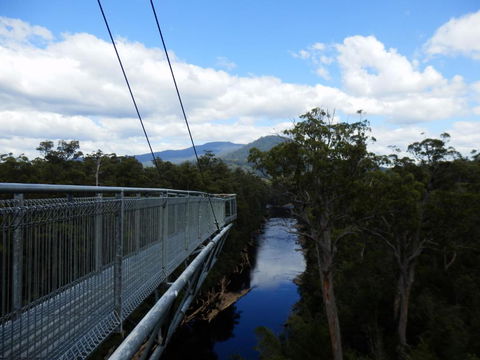 Tahune Air Walk Lodge - Tourism Noosa 5