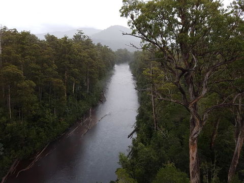 Tahune Air Walk Lodge - Tourism Noosa 2