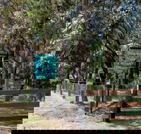 Blueberry Hills On Comleroy - Tourism Noosa