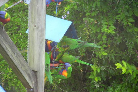 A Lakehouse Escape - Tourism Noosa 4