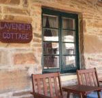 Lavender Cottage B  B - Tourism Noosa