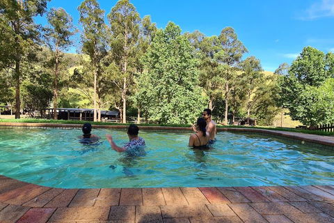 Nirvana Spiritual Retreat - Tourism Noosa 4