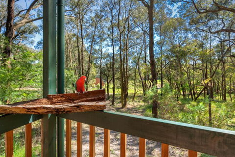 Cockatoo Cottages - Tourism Noosa 6