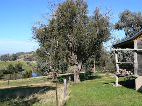 Gaddleen Grove Cottages - Tourism Noosa 6