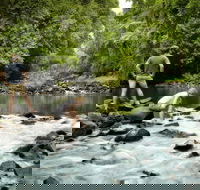 Sharlynn by the River - Tourism Noosa