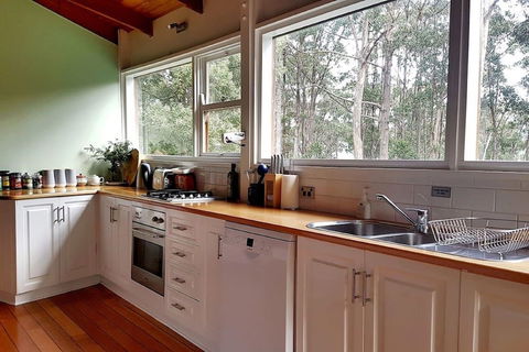 Eaglehawk Rainforest Retreat - Tourism Noosa 3