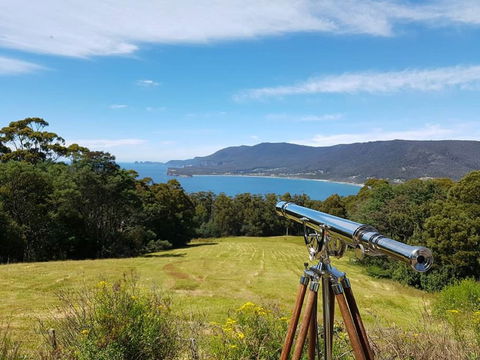Eaglehawk Rainforest Retreat - Tourism Noosa 0