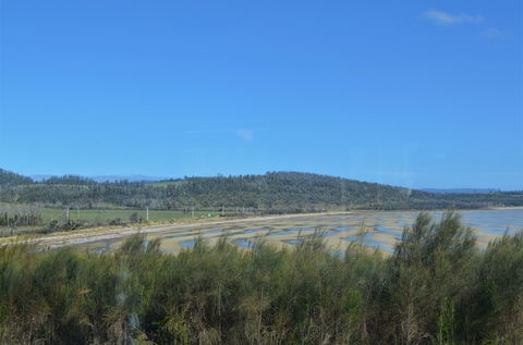 Flotsam Studio Accommodation - Tourism Noosa 2