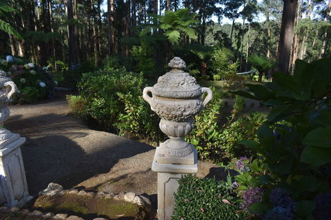 Forest Edge Cottage At Merrow Cottages - Tourism Noosa 2