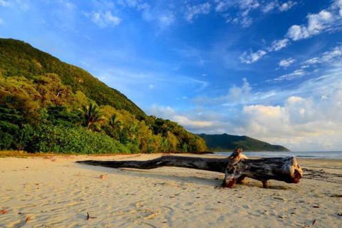 Daintree Rainforest Beach House - Tourism Noosa 7