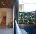 Stella on Stevens - Tourism Noosa