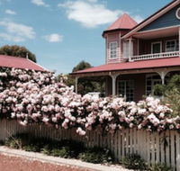 Painted Lady Bed  Breakfast - Tourism Noosa