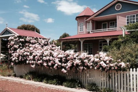 Painted Lady Bed & Breakfast - Tourism Noosa 0