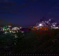 Serpentine Rose - Tourism Noosa
