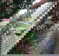 The Glen Family House - Tourism Noosa