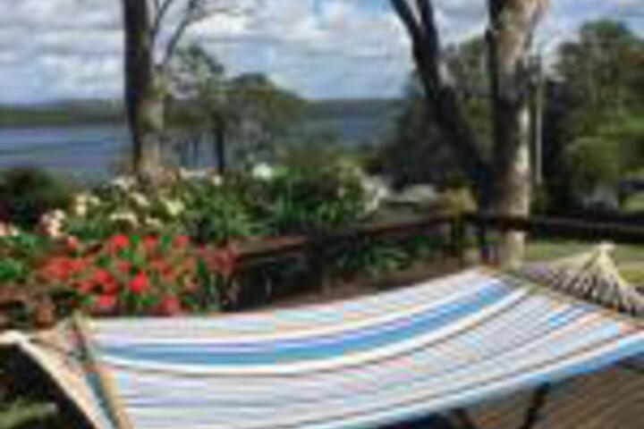 Whoota NSW Tourism Noosa