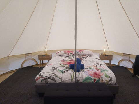 Zeehan Bush Camp - Tourism Noosa 6