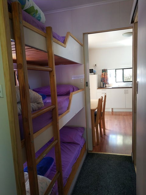 Zeehan Bush Camp - Tourism Noosa 5