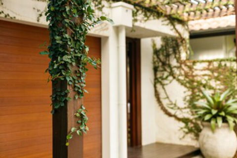 ESPRIT 2 PALM COVE BRAND NEW - Tourism Noosa 0