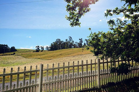 Old White Church Bed & Breakfast - Tourism Noosa 5