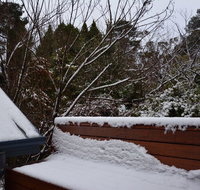 Misty Pines - Tourism Noosa