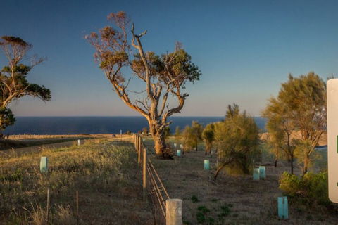 Fleurieu Coastal Retreat Lot 150 Myponga Beach Road - Tourism Noosa 2
