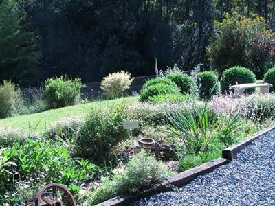 Wilmot TAS Tourism Noosa