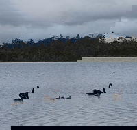 Lake Yalleena Nature Retreat - Tourism Noosa