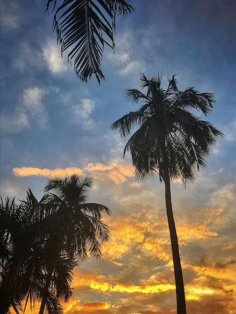 Motel 98 - Tourism Noosa 0