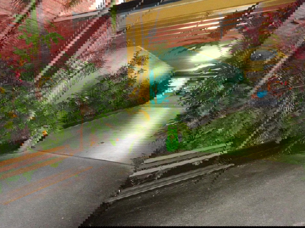 Nobbys Creek NSW Tourism Noosa