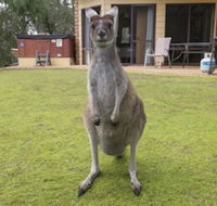 Yelverton Brook Conservation Sanctuary - Tourism Noosa