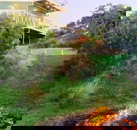 Views Pet Friendly Hotel  Cape Schanck - Tourism Noosa
