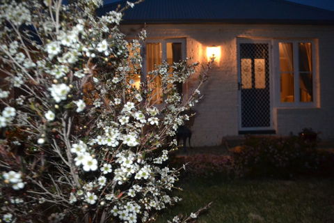 Mulberry Cottage B&B - Tourism Noosa 6