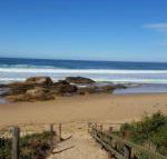 Bellbird Cottage B  B - Tourism Noosa