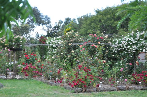 Fairy Wren Cottage Country To Coast Retreat - Tourism Noosa 6